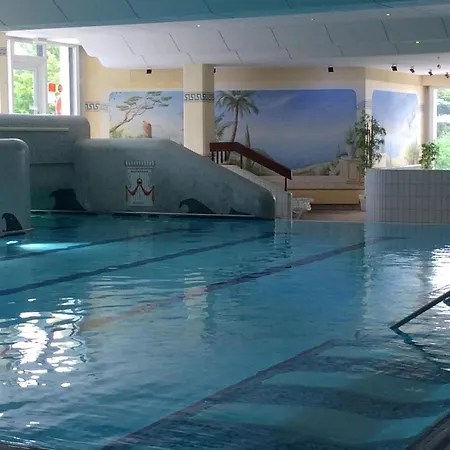Wellness