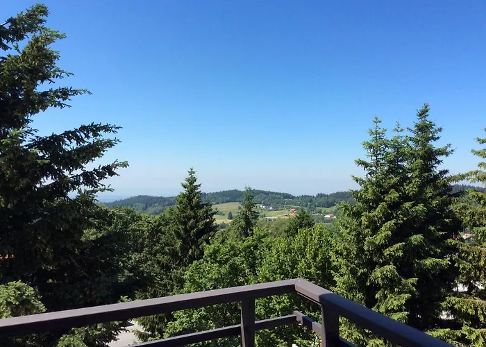 Wellness Appartement Sankt Englmar